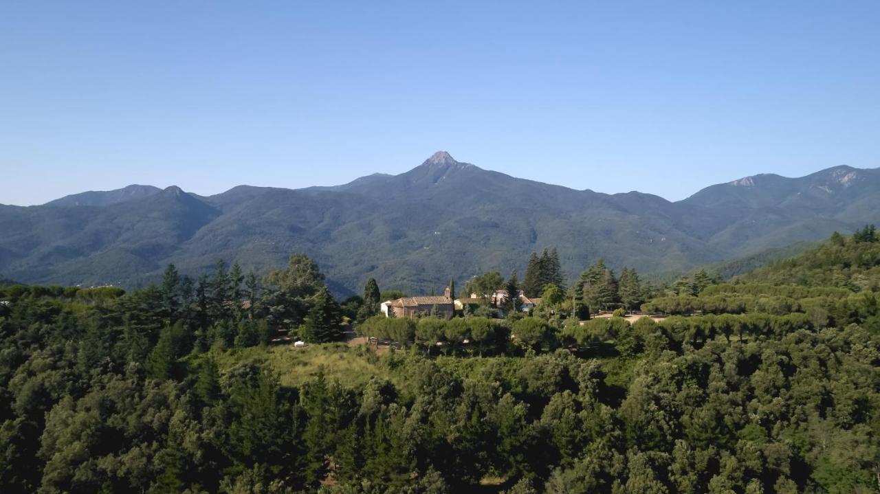 Masia De Can Ferrer Pension Arbúcies Buitenkant foto