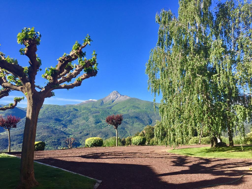 Masia De Can Ferrer Pension Arbúcies Buitenkant foto